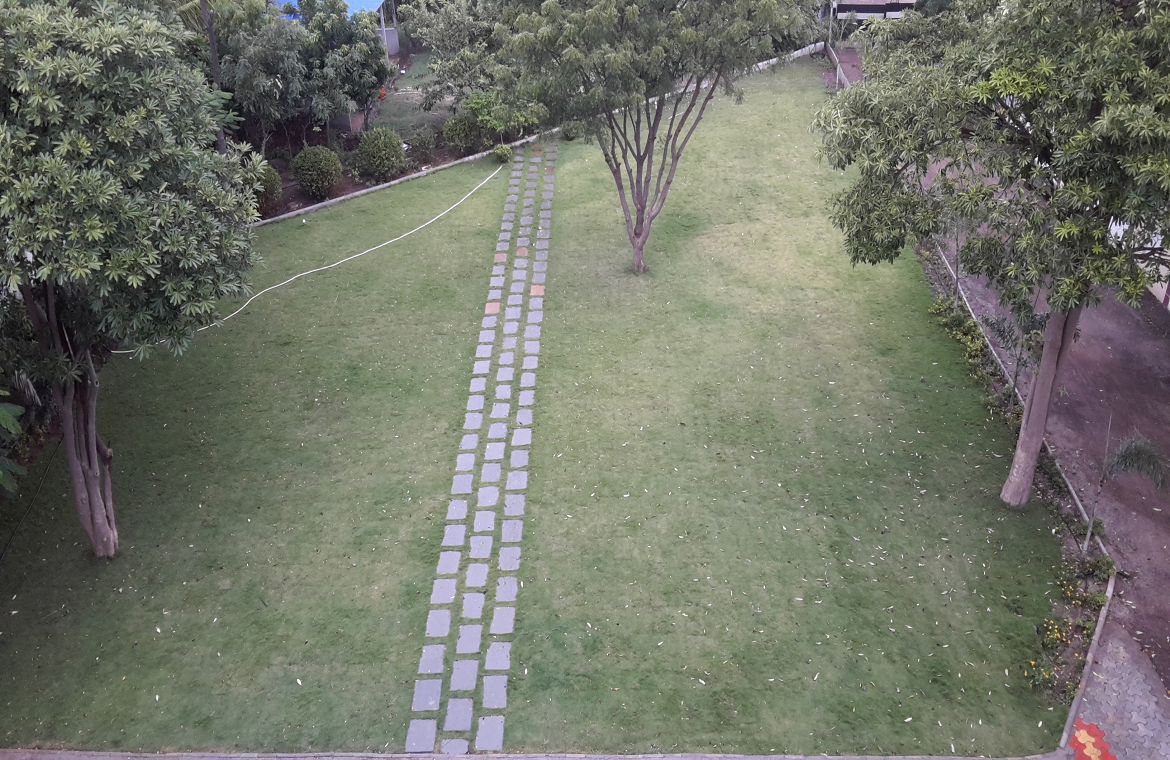 Space For Morning Walk