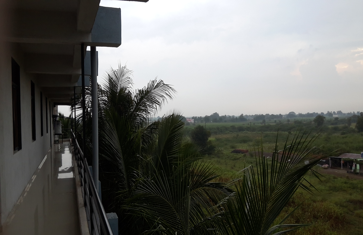 Greenery at Dwaraka Mai Seva